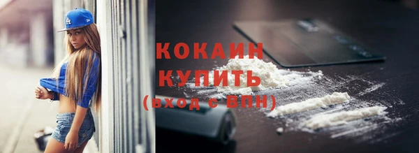 ПСИЛОЦИБИНОВЫЕ ГРИБЫ Абаза